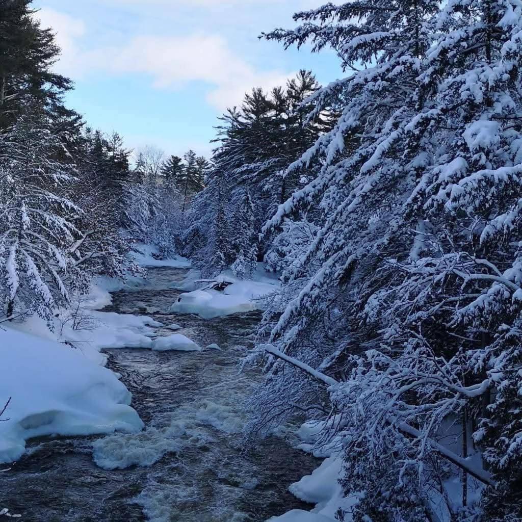 Chalet Le Jasmin Complet Riviere Kayak Nature